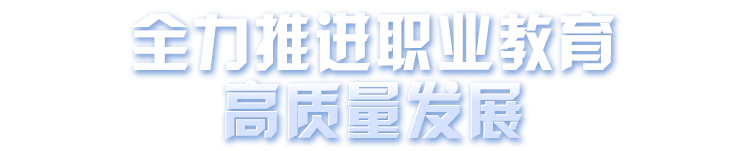 全力推進職業教育高質量發展