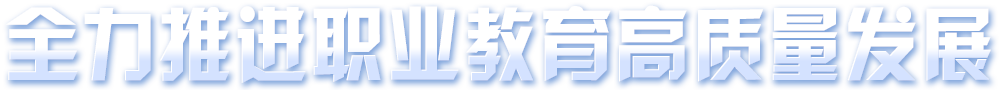 全力推進職業教育高質量發展
