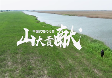 綠色之心